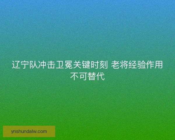 辽宁队冲击卫冕关键时刻 老将经验作用不可替代
